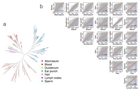 Exploring Tissue- and Sex-Specific DNA Methylation in Cattle Using a ...