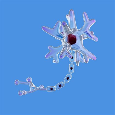 3d rendering of human body icon | Free PSD