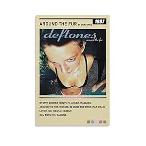 JIANDIAN 90s Room Aesthetic Deftones Band Around The Fur Album Cover ...