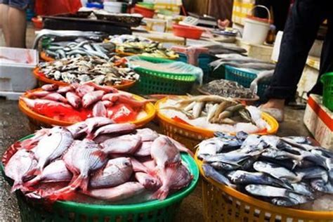 在超大海鲜批发市场吃平价海鲜是什么体验？来试试就知道了！_斑节