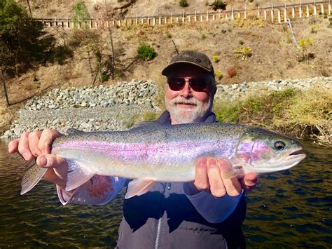 Trinity River Fish Report - Trinity River - Trinity River Steelhead ...
