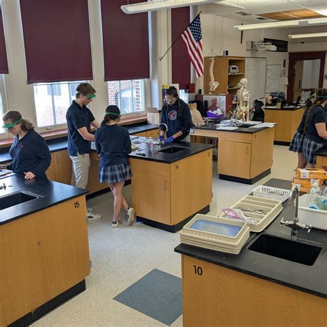 Mount Saint Charles Academy | Let's look inside a classroom! 🧬🔬 This ...