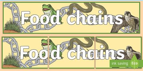Food Chains Display Banner (teacher made) - Twinkl