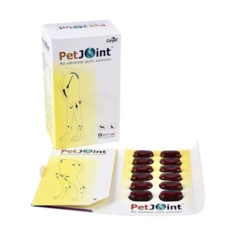 Which Are the Best Vet Recommended Joint Supplements for Dogs?
