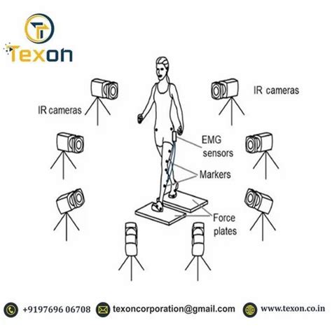 Ergonomics - 3d Motion Capture System Manufacturer from Mumbai