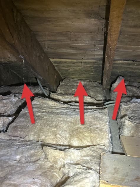 Mold in Attic : r/FirstTimeHomeBuyer