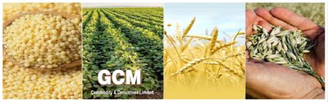 GCM COMMODITY & DERIVATIVES LTD