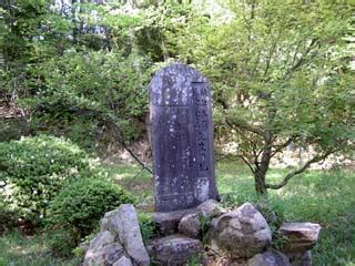 Image result for Prime Number Examples Math