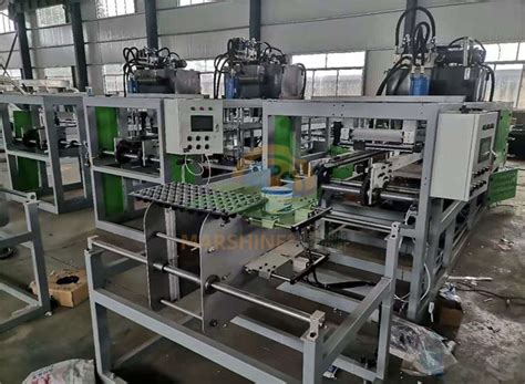 Vacuum Packing Tray Process 的图像结果