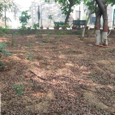 Tech in Bloom: PodTech IO’s Journey to a Greener Future – Grow Billion ...