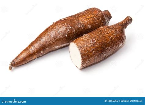 Cassava Or Manioc Roots Stock Photo - Image: 43666965