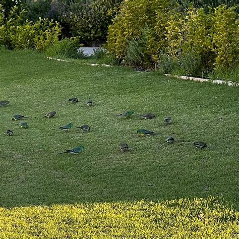 ROBINVALE GOLF CLUB RESORT - Inn Reviews, Photos, Rate Comparison ...
