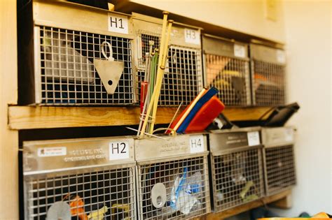 Image result for How to Use LibraryThing