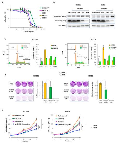 The Histone Methyltransferase SETD8 Regulates the Expression of Tumor ...