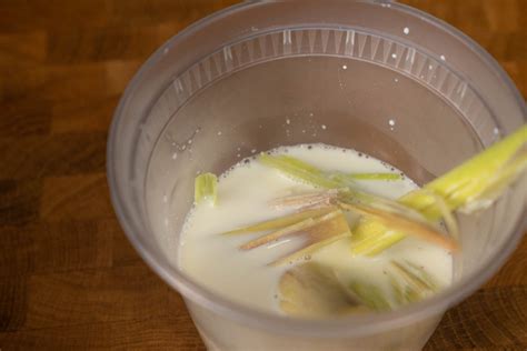 Lemongrass Ice Cream - Adventures of Carlienne