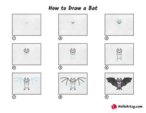 Bat Diagram Easy For Kids