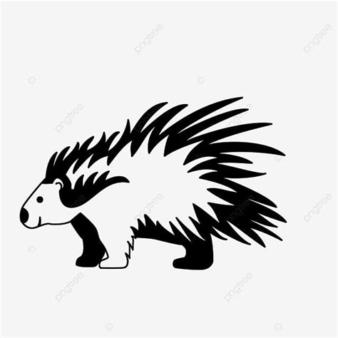 Traditional Porcupine Quill Art Techniques