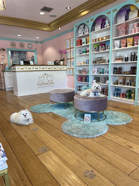 Dog boutique | Dog accessories store, Grooming store, Boutique pet store