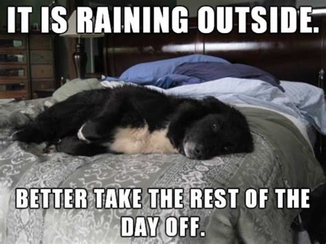 Top Stories Funnies Outside 的图像结果