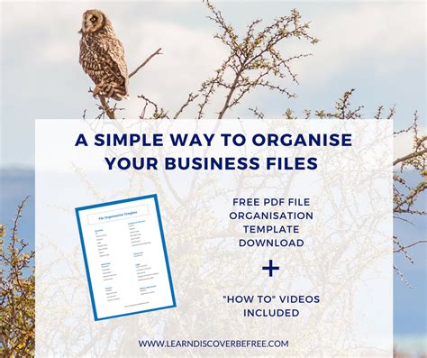 Image result for Naration File Organization Template