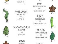 Image result for Spiritus Invictus