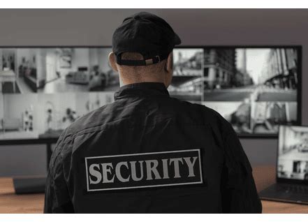 Rajray Securex Pvt Ltd - Security Guard Services