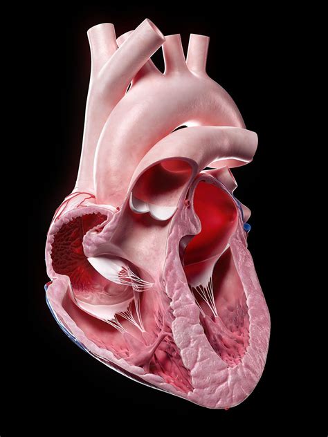 Image result for Heart with Name Using Python