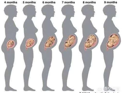 分析下一下B超图，看看怀孕多久了，男孩还是女孩？谢谢。_百度宝宝知道-宝宝25周B超图，帮忙看看是男孩还是女孩