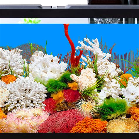 Buy Lainrrew Aquarium Background, 12 x 21Inch Double Sided Fish Tank ...