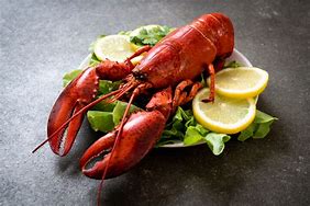 lobster 的图像结果