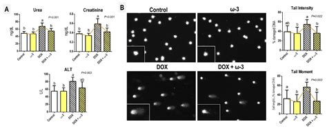 Protective Effects of Omega-3 Supplementation against Doxorubicin ...