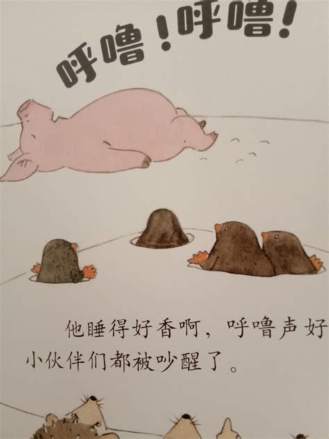 《怎样叫醒胖小猪》--一本搞笑但是意义深远的书籍 - 宝宝地带