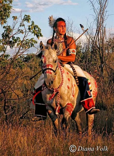 Which Native American Tribes Used Horses