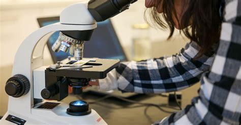 Image result for A Person Inspecting Using Microscope