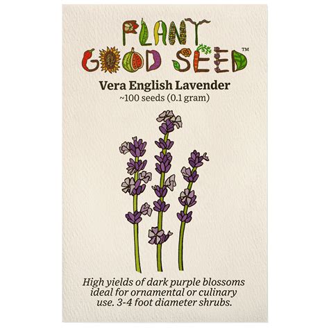 Vera English Lavender Seeds - The Plant Good Seed Company