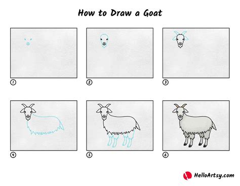 How To Draw A Goat Step By Step How To Draw A Goat – Easy Step By