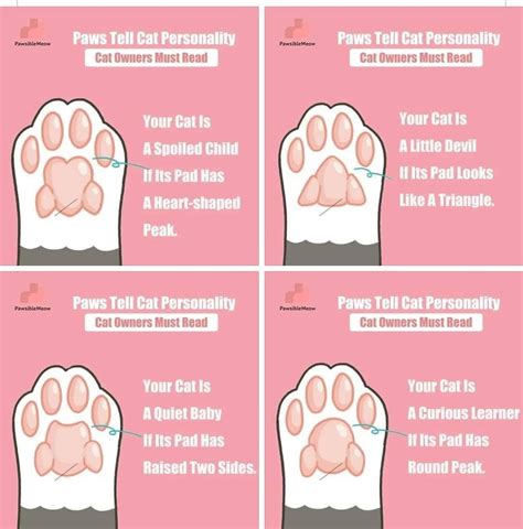 Cat Paw Formation: A Guide