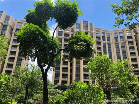 香港珠海学院排名，珠海大学全国排名