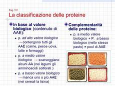 alimenti contengono lisina modulo 2 unit 192 i protidi ppt scaricare alimenti contengono lisina modulo 2 unit 192 i protidi ppt scaricare
