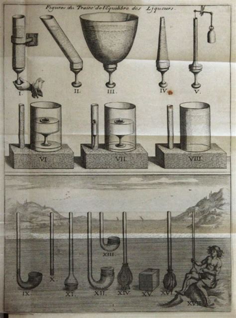 Image result for Pascal Distribution