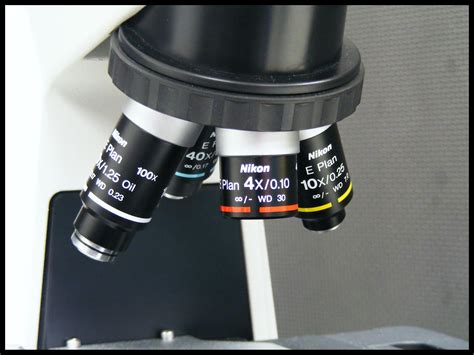 Compound Microscope Lenses Type at Maureen Joann blog