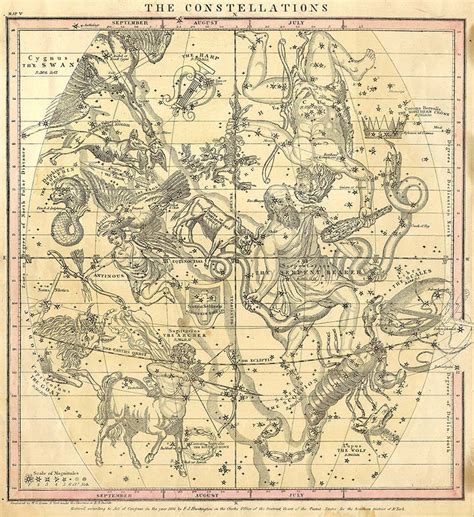 Space Map 的图像结果