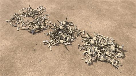 Pile Of Animal Bones