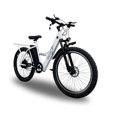 Buy SS Bikes CargoX Heavy Duty Electric Cycle with Long Range 85+ Km ...