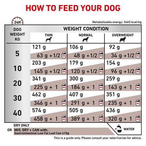 Royal Canin Veterinary Diet Canine Gastrointestinal Low Fat Dry Dog ...