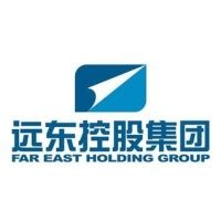 远东控股集团 Far East Holding Group | LinkedIn