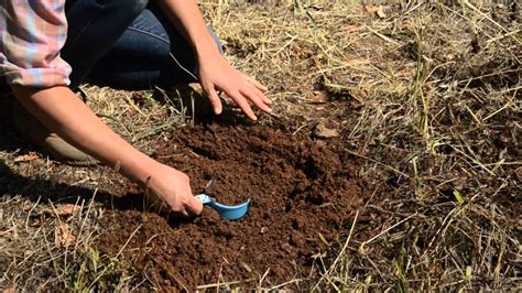 Image result for How to Take Soil Sample for Testing