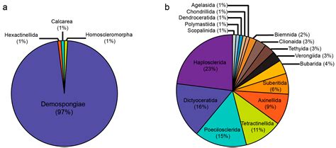 Patterns of Sponge Biodiversity in the Pilbara, Northwestern Australia