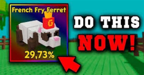 How are players leveling up fast in Grow a Garden? French Fry Ferret ...