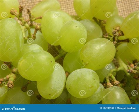 Thompson Seedless Grapes Stock Photography | CartoonDealer.com #32666744